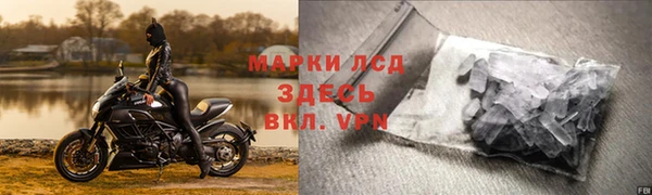стаф Балахна