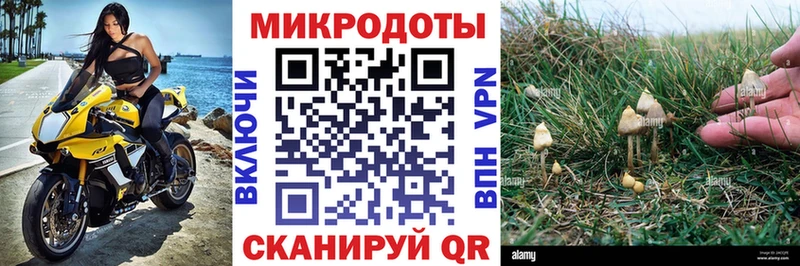Галлюциногенные грибы MAGIC MUSHROOMS  Купить  Никольское 